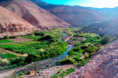 Quebrada de Camiña, Región de Tarapacá
