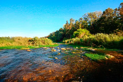 Río Limarí, Región de Coquimbo