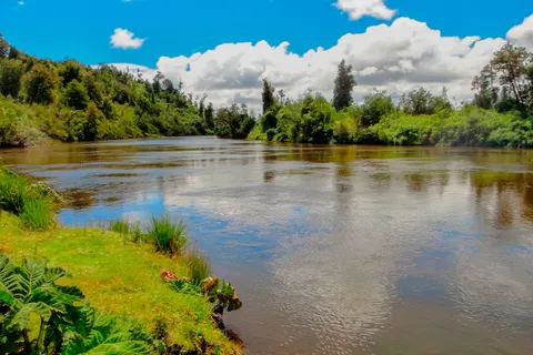 Río Chepu, Región de Los Lagos