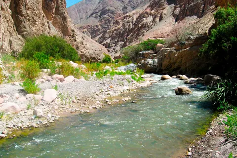 Río San José de Azapa, Región de Arica y Parinacota